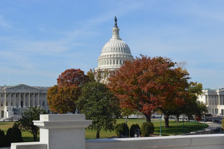 U.S. Capital building - government contract